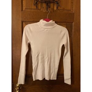 the limited turtleneck